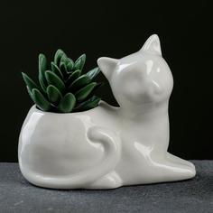 Цветочный горшок Take It Easy Котенок Р00019392 0,2 л белый 1 шт.