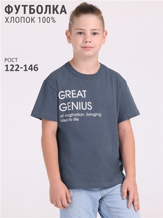 Футболка детская Апрель 1ПДФК4332001, темно-серый235 Великий гений, 134