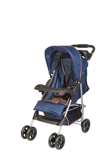 Коляска прогулочная Kari Kids KariKids 301CS-B
