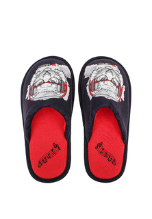 Тапочки T.Taccardi CJI23AW-73B, синий, 38