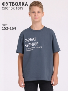 Футболка детская Апрель 1ПДФК4333001, темно-серый235 Великий гений, 158