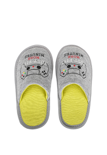 Тапочки T.Taccardi CJI23AW-259B, серый, 34