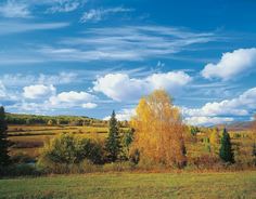 Фотообои бумажные VOSTORG Родные просторы 300*201
