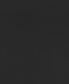 Обои 752656 Rasch African Queen 3