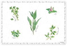 Салфетка под горячее Easy Life Herbarium 45 х 30 см