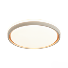 Потолочный светильник Xiaomi Huayi Nordic Minimalist Ceiling Lamp Circle 30+30W