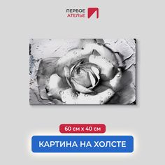 Картина на стену для интерьера ПЕРВОЕ АТЕЛЬЕ "Черно-белая роза" 60х40 см