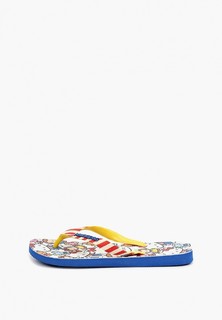 Сланцы Havaianas