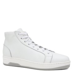 Кроссовки и кеды Tendance