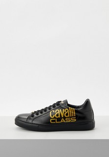 Кеды Cavalli Class