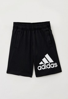 Шорты спортивные adidas