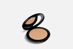 Компактная пудра PERFECT FINISH COMPACT POWDER, т. 01 фарфор Radiant Professional Make Up