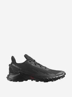 Кроссовки мужские Salomon Alphacross 4, Черный