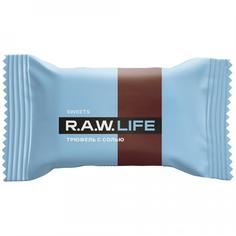 Конфета R.A.W. LIFE Трюфель с солью 18 г
