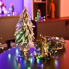 Гирлянда Lotti 10 м 100 microleds мультиколор на батарейках