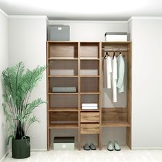 Гардеробная система Комплект стеллаж Модус № 1 160х50х208,4 см Дуб Вотан 14