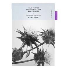 RAWQUEST MILK THISTLE BRIGHTENING SPA BLACK MASK маска для лица
