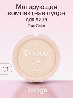 Пудра компактная Divage True Color № 01 fair