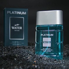 Туалетная вода мужская Platinum Water, 100 мл Дельта Парфюм
