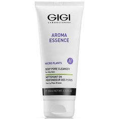 32592 AE Deep Pore Cleanser, мыло жидкое для комб., жирн/кожи, 200 мл Gi Gi