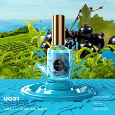 Парфюмерная вода Melange № U031 Silver Mountain Water 30 мл
