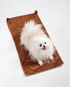 Полотенце для собак супервпитывающее, Mr Dog, M, 34х75 см