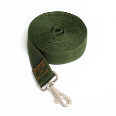Поводок двухслойный с усиленным карабином, 3 м х 4 см, зелёный Пижон