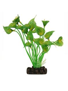 Растение для аквариума Laguna Спатифиллум, зеленый, 20 см