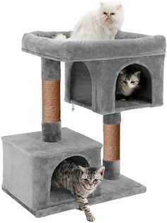 Комплекс для кошек с когтеточкой Pet БМФ Комфорт мини, 60 х 35 х 80 см, серый