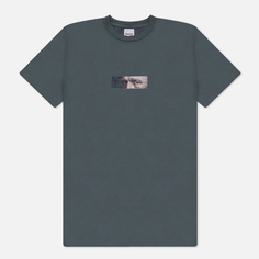 Мужская футболка RIPNDIP Van Nermal, цвет серый, размер S
