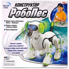 Конструктор Galey Toys Education Science 88011 Робопес, 9 дет.