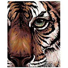 Картина по номерам, "Живопись по номерам", 40 x 50, A415, тигр, животное, дикий, портрет, паспорт, глаз, нос