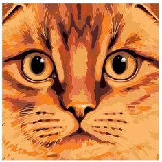 Картина по номерам, "Живопись по номерам", 40 x 40, A386, животное, кот, морда, домашний, порода, рыжий, поп-арт