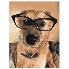 Картина по номерам, "Живопись по номерам", 30 x 40, ets360-3040, пёс, очки, умный, взгляд, диван, ошейник, питомец