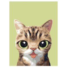 Картина по номерам, "Живопись по номерам", 45 x 60, A571, котенок, животное, зелёные глаза, милый, питомец