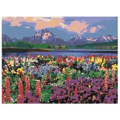 Картина по номерам, "Живопись по номерам", 60 x 80, Z-Z10199