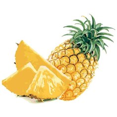 Картина по номерам, "Живопись по номерам", 48 x 60, KTMK-64488