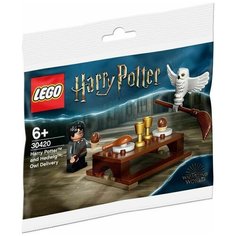 Конструктор LEGO Harry Potter 30420 Harry Potter and Hedwig, 31 дет.