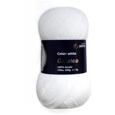 Пряжа для вязания Astra Premium Галатея, 100 г, 250 м (100% акрил) (01 белый), 3 мотка