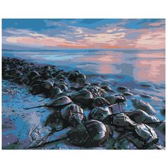 Картина по номерам, "Живопись по номерам", 40 x 50, Z-Z284