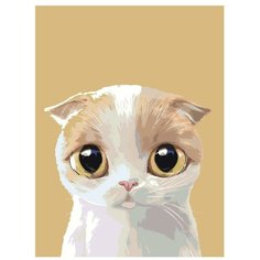 Картина по номерам, "Живопись по номерам", 60 x 80, A511, маленький котёнок, большие глаза, животное, портрет, изолированный фон