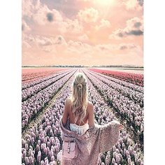 Картина по номерам Среди цветов 40х50 см 000 Art Hobby Home