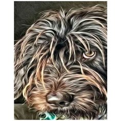 Картина по номерам Лохматый пёс 40х50 см Hobby Home