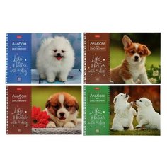 Альбом для рисования А4, 40 листов на гребне Doggie-щенки, обложка мелованный картон, блок 100 г/м2, микс Hatber