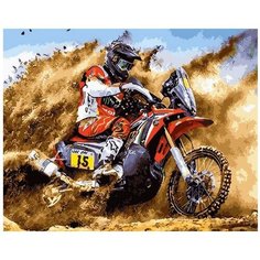 Картина по номерам Гонки на мотоцикле 40х50 см Hobby Home