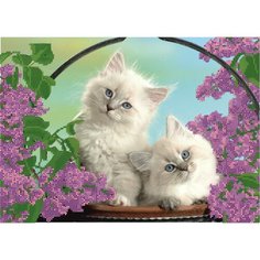 Алмазная мозаика картина Котята 35*43,5см Diamant
