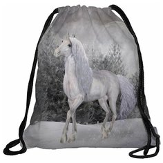 Мешок для сменной обуви Homepick 38х42м Unicorn/1098/