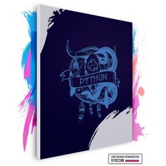 Картина по номерам на холсте Python, 60 х 80 см Красиво Красим