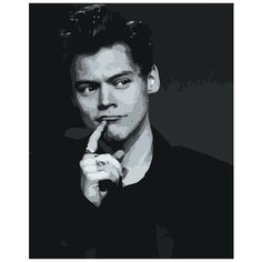 Картина по номерам, "Живопись по номерам", 72 x 90, Z-NA197, Гарри Стайлс