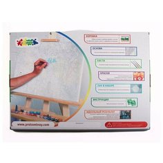 Картина по номерам «Нежная красота», MG2111 / 40х50 см / ТМ Цветной / Холст на подрамнике / Премиум набор